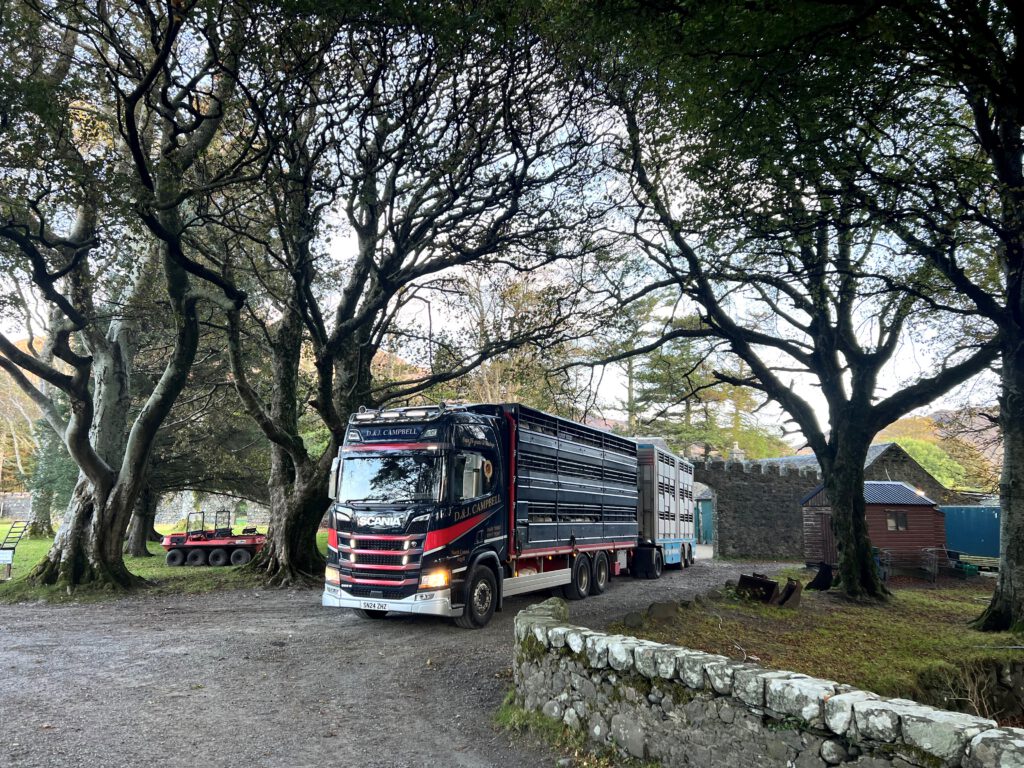 D&J Campbell Scania livestock lorry and trailer under trees